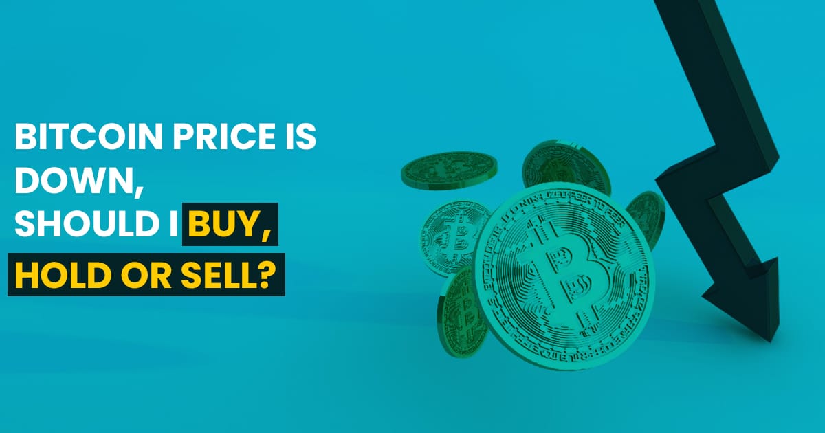 Bitcoin Price is Down, Should I Buy, Hold or Sell