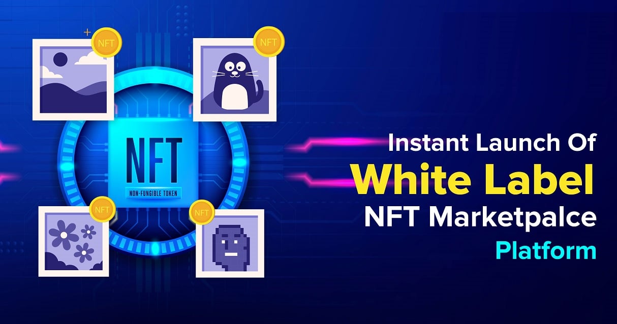 What is the Difference Between Blockchain and NFT?