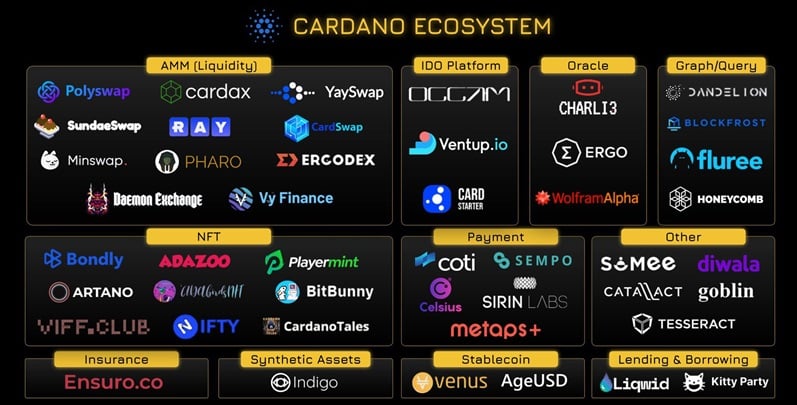 CARDANO MARKETING